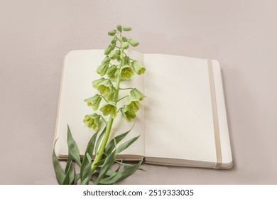 Open notebook or sketchbook and blooming fritillaria persica 'Ivory Bells'  on a gray table. Flat lay . Background for a calendar, banner or social media post. Place for text. - Powered by Shutterstock