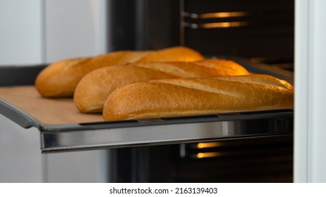 Open Oven Door With Hot Baking Sheet With Fresh Baked French Baguette In Kitchen. Bread Bakery Background. Food Close-up.