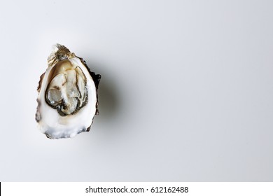 Open oyster on white background