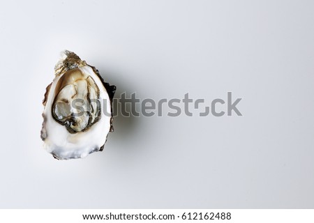 Open oyster on white background