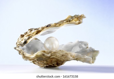 Open oyster with one pearl isolated on blue background