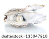 oyster shell pearl