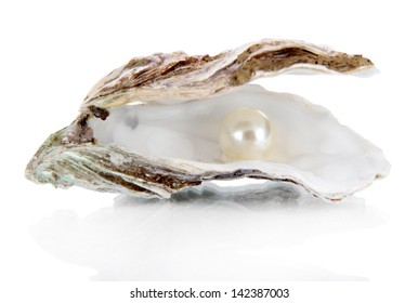 16,243 Oyster shell with pearl Images, Stock Photos & Vectors ...