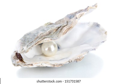 Open Oyster With Pearl Isolated On White