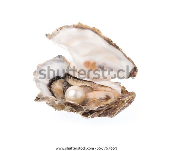 Open Oyster Pearl Isolated On White Stock Photo 556967653 | Shutterstock