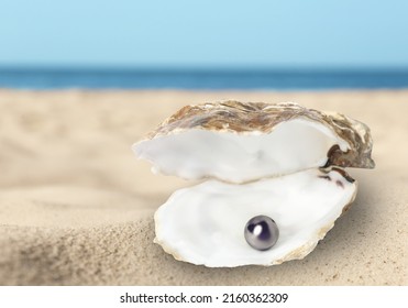 Open Oyster Shell With Black Pearl On Sandy Beach Near Sea