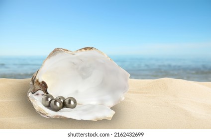 Open Oyster Shell With Black Pearls On Sandy Beach Near Sea