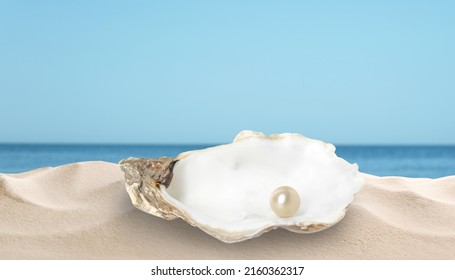 Open Oyster Shell With White Pearl On Sandy Beach Near Sea