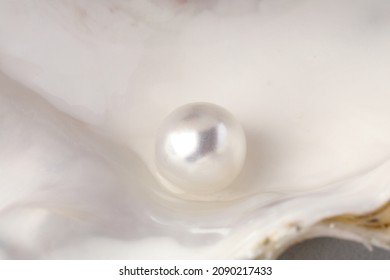 Open Oyster White Pearl Closeup View Stock Photo 2090217433 Shutterstock   Open Oyster White Pearl Closeup 260nw 2090217433 