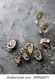 Open Oysters and champagne on gray concrete texture background copy space
