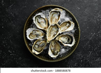 Open oysters Fines de Claire. Free space for your text. Seafood. Flat lay.
