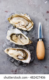 Open oysters on ice and knife on gray concrete texture background