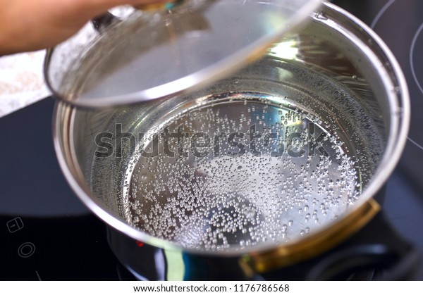 Open Pan On Induction Cooker Boiling Stock Photo Edit Now 1176786568