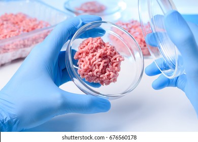 Open Petri Dish With Meat Sample