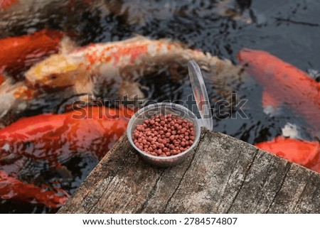 Open plastic cup with red koi food sits on weathered wooden pond edge beside bright carp in rippled dark water at feeding time