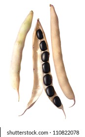 Open Pod Of Black Beans Isolated On White