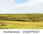 Open range for cattle ranching in central Colorado, USA in the spring.