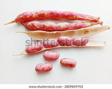 Open red kidney bean pod revealing mature seeds, isolated on a white background for agriculture, food, and botanical concepts