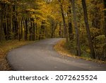 Open road winds through autumn trees in a forest. Original public domain image from Wikimedia Commons