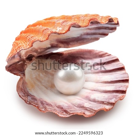 Open scallop shell with pearl inside on white background. File contains clipping path.