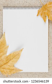 open school notebook on the table top view, spiral notepad with blank page. flat lay of autumn concept , vertical view