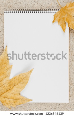 open school notebook on the table top view, spiral notepad with blank page. flat lay of autumn concept , vertical view