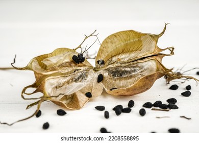 195,434 Seed Pods Images, Stock Photos & Vectors | Shutterstock