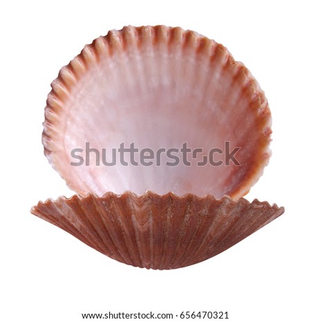 Open shell isolated