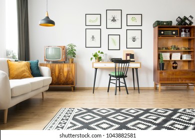 Stylish Vintage Furniture Spacious Flat Interior Stock Photo 1031082514 ...