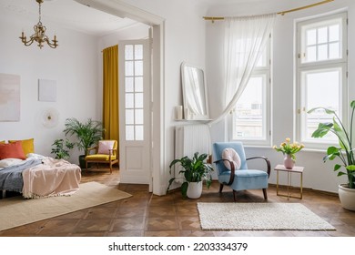Open space or apartment studio with vintage style interior. Retro design in living room. Old fashionable furniture, armchair and messy crumpled bedding in bedroom. Home decor, green houseplants