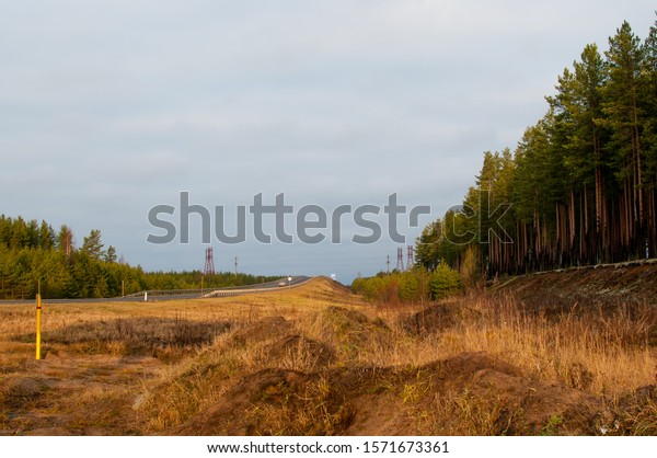The open spaces of the transport road network of
Russia in coniferous
forests