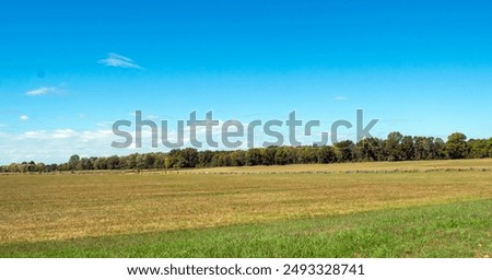 Open tree lined field with various green and blue colors. Rustic wooden fence through the center catches the eye at the Arkansas landscape. A relaxing atmosphere of peace and tranquility