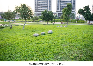 Open Urban Green Park Space In Front Of Residential Buildings