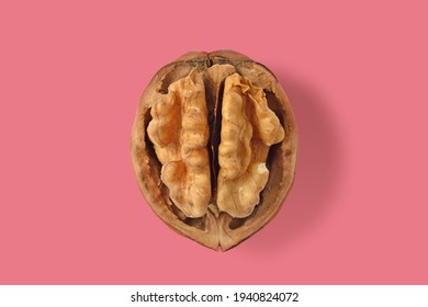 Open Walnut On Pink Background - Concept Of Brain, Walnut And Woman