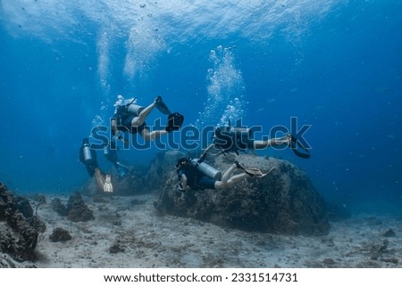 Similar – Two persons in their back with scuba diving equipment exploring the ocean floor.