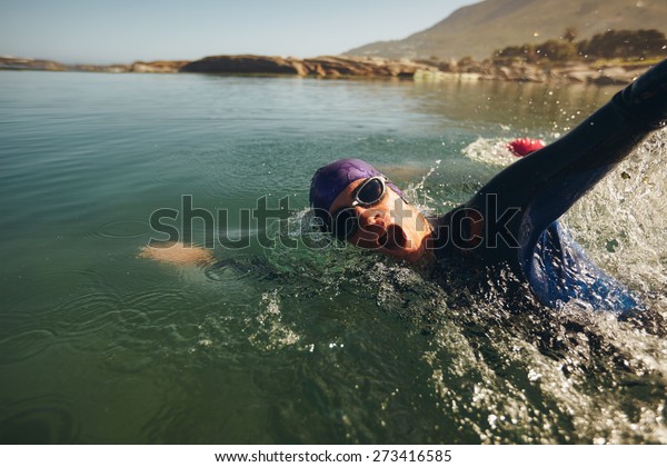 Open water swimming. Male athlete\
swimming in lake. Triathlon long distance\
swimming.