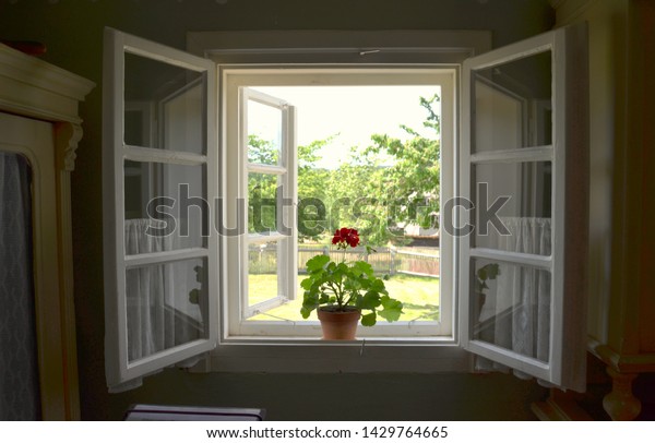 Open Window Geranium Flower Inside Old Stock Photo Edit Now