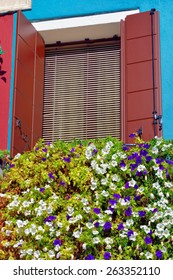 Open Window With Metal Shutter And Decorated With Blooming Flowers. Burano Colorful Island. Venive