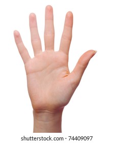 Open woman hand or number five isolated