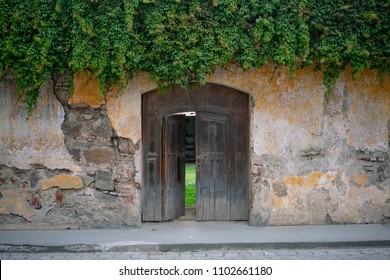 Open Wooden Door to Garden on Crumbling Wall in Antigua Guatemala