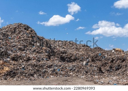 open-air landfill in the Dominican Republic, this landfill with the name of Transfer, is located in Santo Domingo Este in the Cancino sector, here part of the garbage collected in the Santo Domingo Es