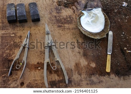 An opened Australian Pinctada Maxima shell with Australian South Sea Pearls on a wooden table and tools in local commercial pearl farming farm near Broome, Western Australia.