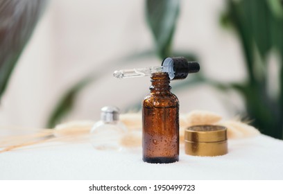 Opened brown glass dropper bottle with pipette with black rubber tip on the background of green natural leaves in the bathroom. Skin concept. Organic spa cosmetics. Fashionable concept.