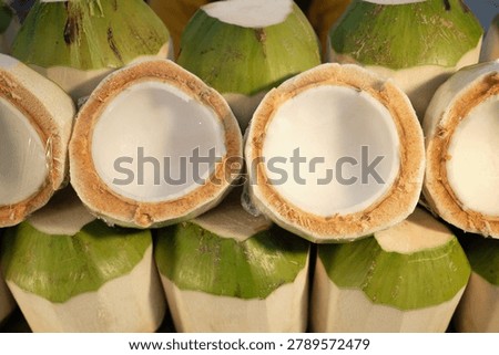 Opened Coconuts with Copy Space for Text. Fresh tropical coconuts cut in half and arranged for display. Clean composition with copy space suitable for healthy lifestyle, hydration and travel-related content.