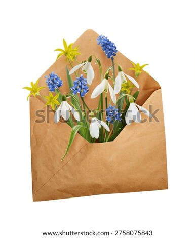 Opened craft paper envelope with small bouquet of first spring glowers (snowdrop, muscari, gagea lutea) isolated on white background