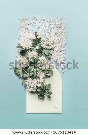 Similar – White Flowers Composing on light blue