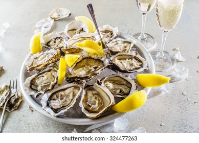 Opened Oysters  - Powered by Shutterstock