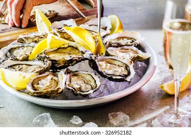 Opened Oysters 
