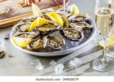 Opened Oysters 