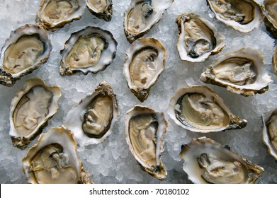 Opened Oysters On Ice